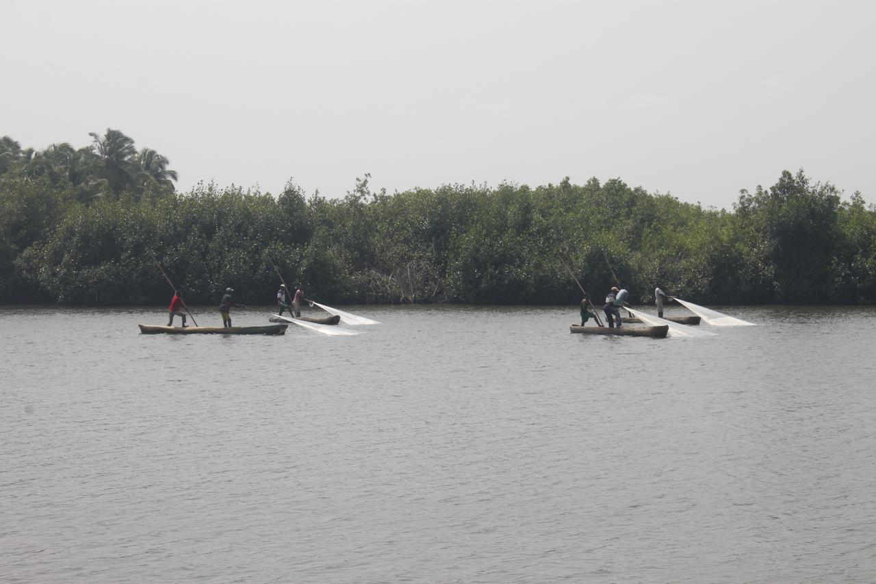 Natura Luxury Lodge Ouidah Dış mekan fotoğraf